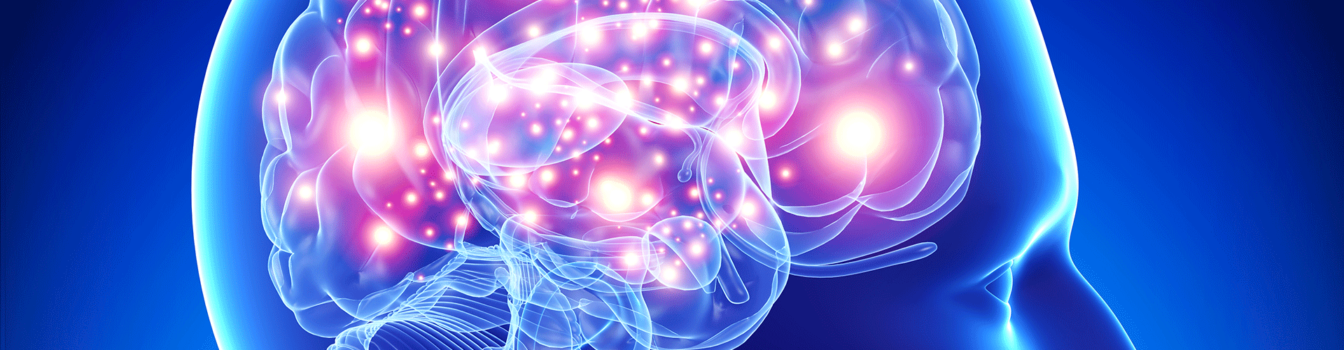 Brain